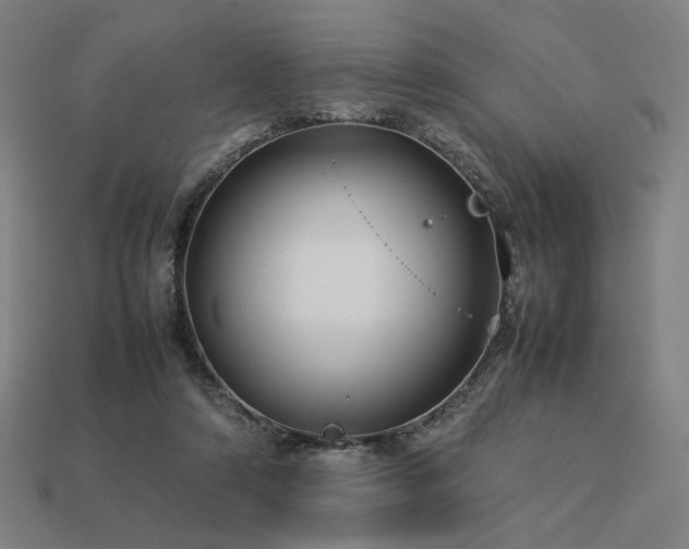 X0000113760306200909231210