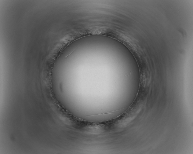 X0000113760307200909231210
