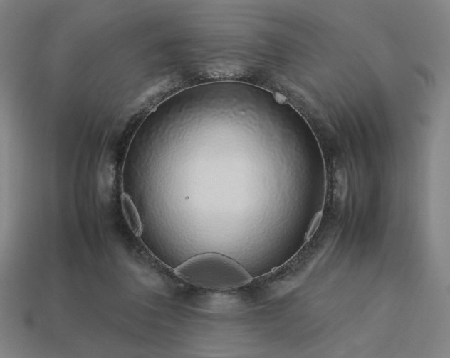 X0000113760308200909231210