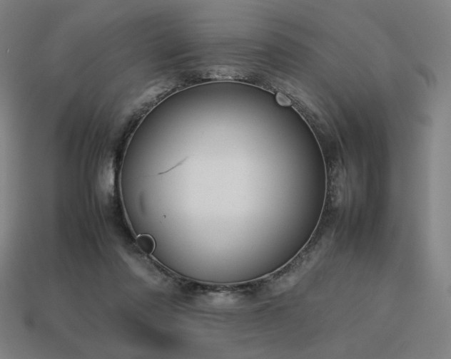 X0000113760310200909231210