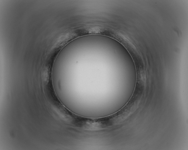 X0000113760311200909231210