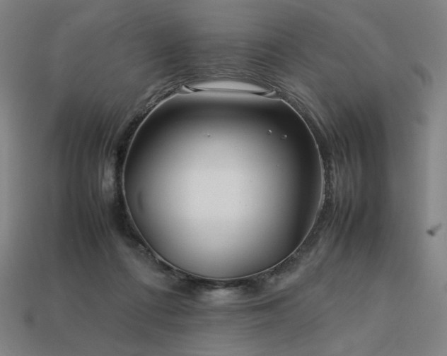 X0000113760312200909231210