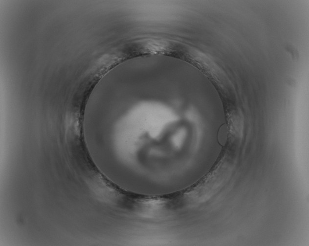 X0000113760313200909231210
