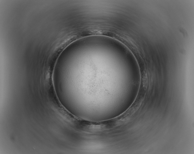 X0000113760314200909231210