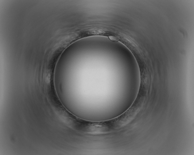 X0000113760315200909231210