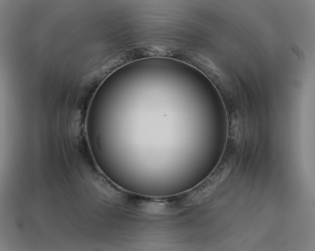 X0000113760318200909231210