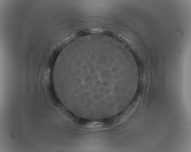 X0000113760319200909231210