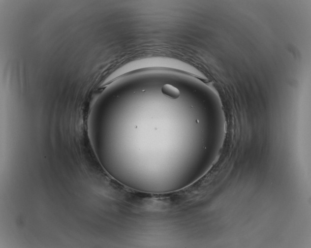 X0000113760320200909231210