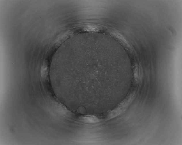 X0000113760322200909231210