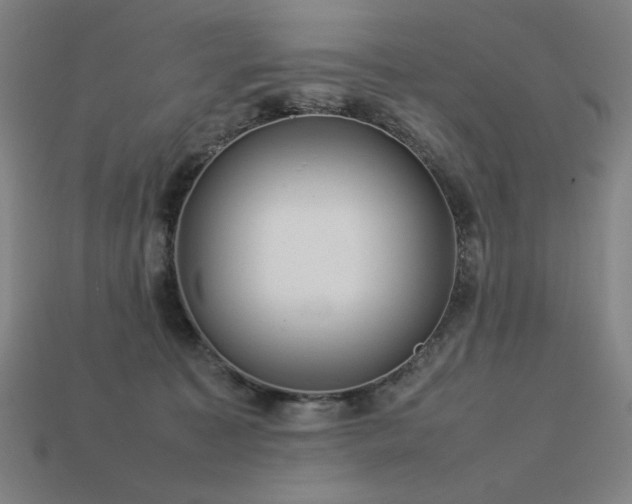 X0000113760323200909231210