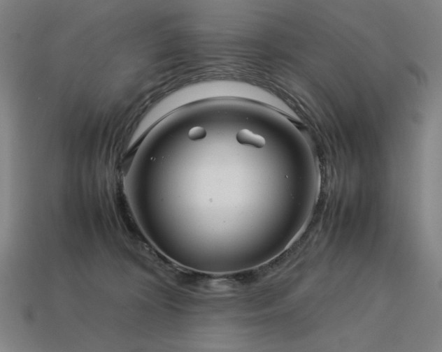 X0000113760324200909231210