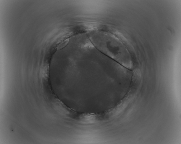 X0000113760325200909231210