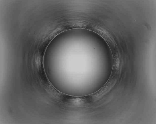 X0000113760326200909231210