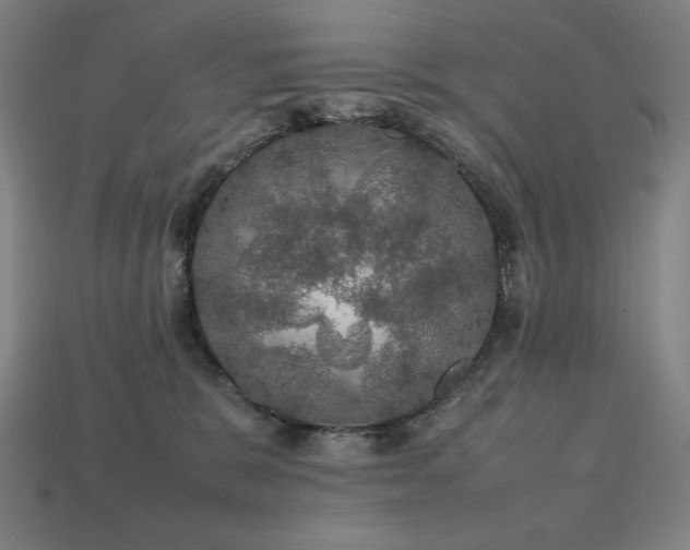 X0000113760327200909231210
