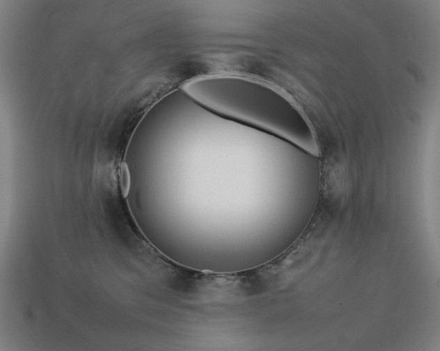 X0000113760329200909231210