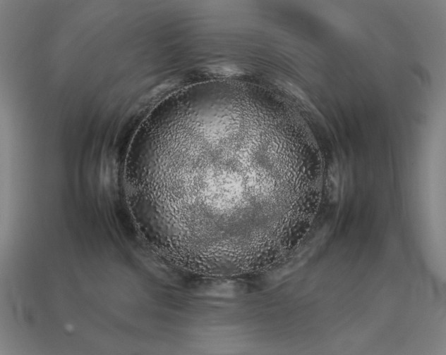 X0000113760330200909231210