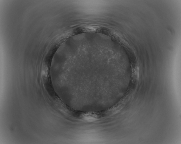 X0000113760331200909231210