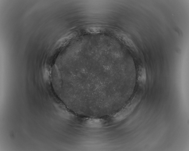 X0000113760332200909231210