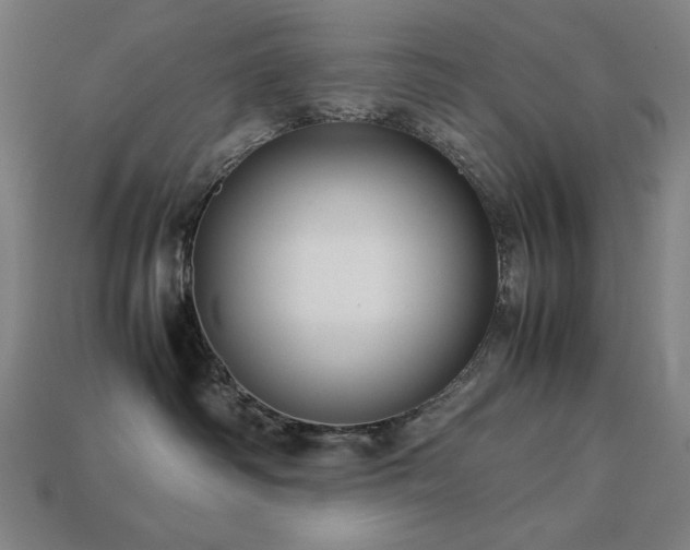 X0000113760334200909231210