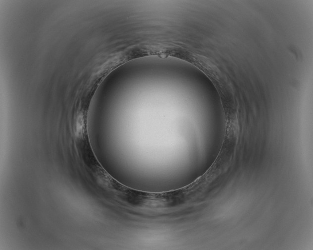 X0000113760335200909231210