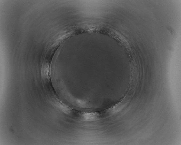 X0000113760336200909231210