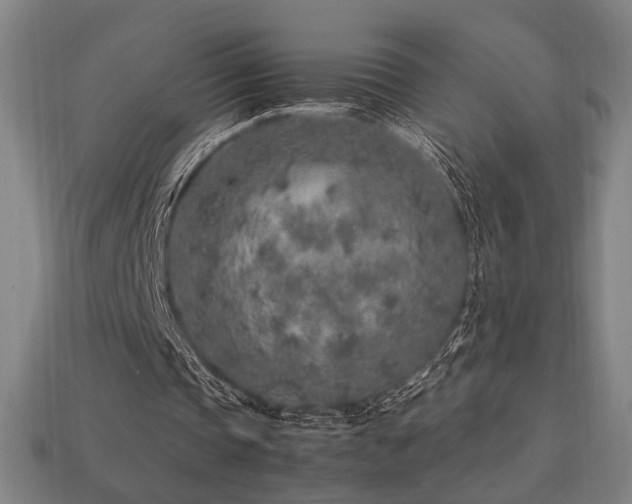 X0000113760337200909231209