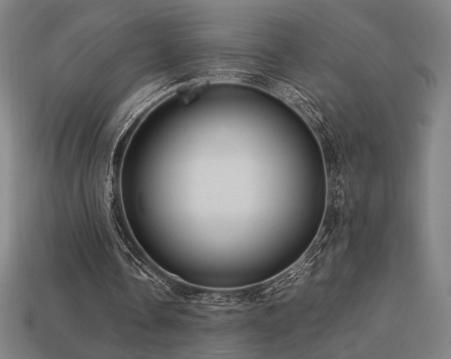 X0000113760338200909231209
