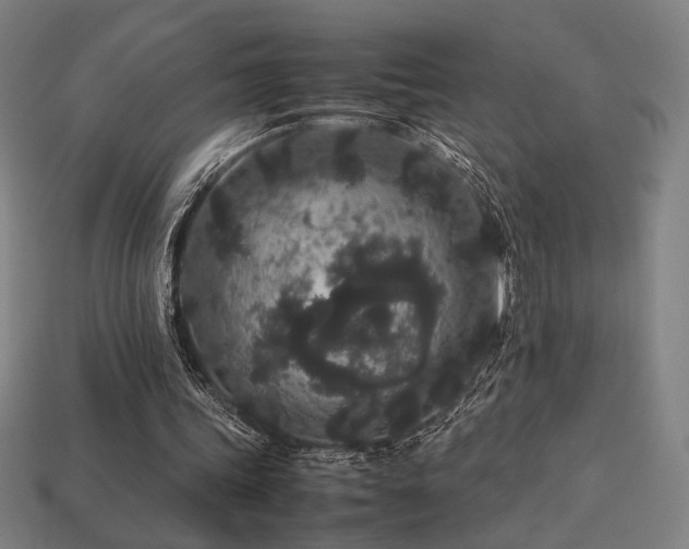 X0000113760339200909231209