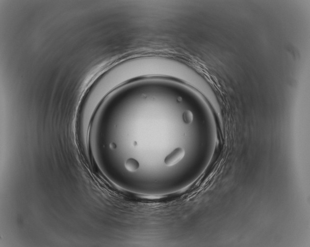 X0000113760340200909231209