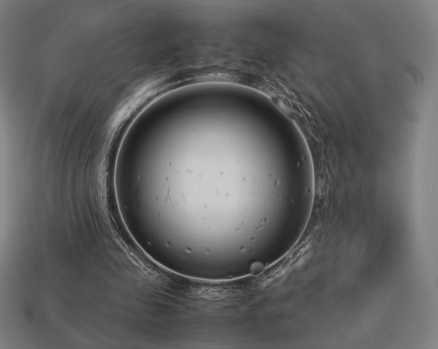 X0000113760341200909231209