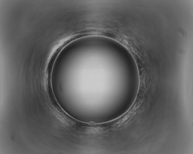 X0000113760342200909231209