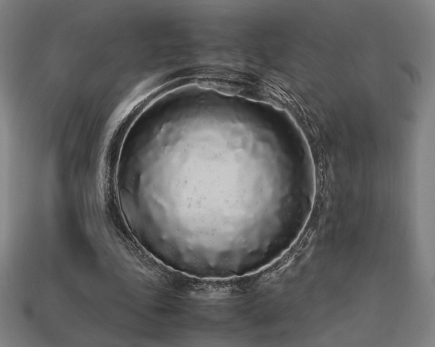 X0000113760343200909231209