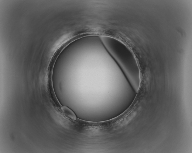X0000113760344200909231210