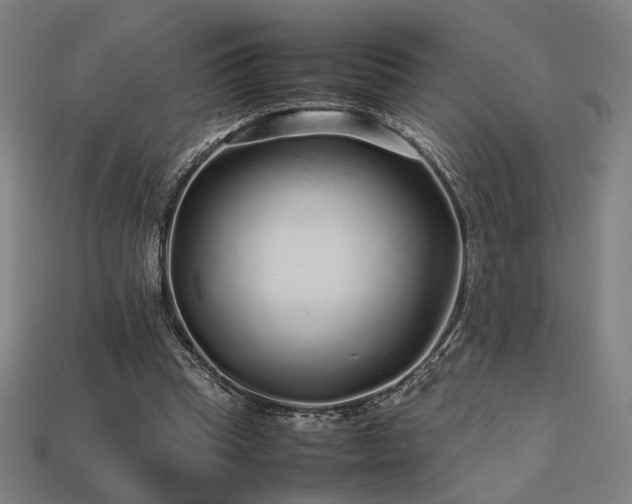 X0000113760345200909231210