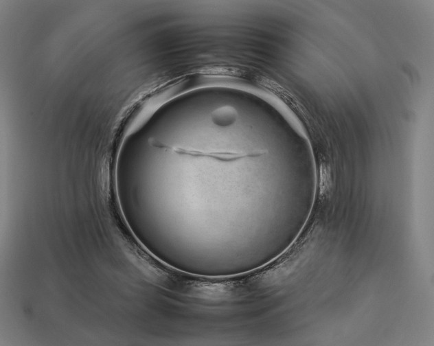 X0000113760349200909231210