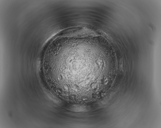 X0000113760351200909231210