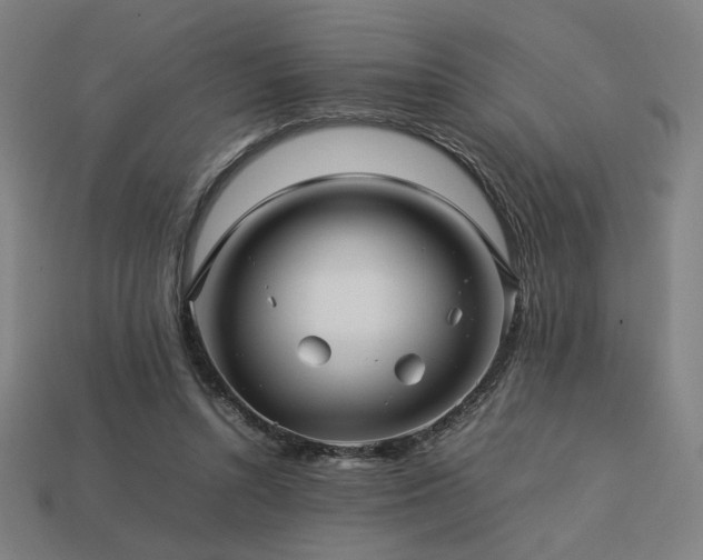 X0000113760352200909231210