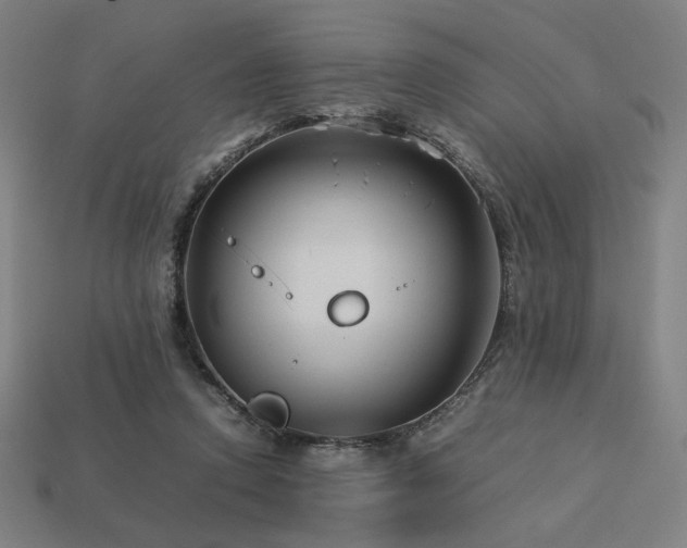 X0000113760354200909231210