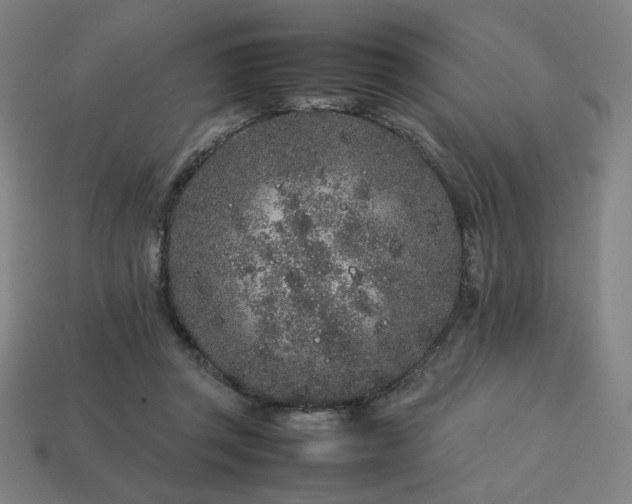 X0000113760357200909231210