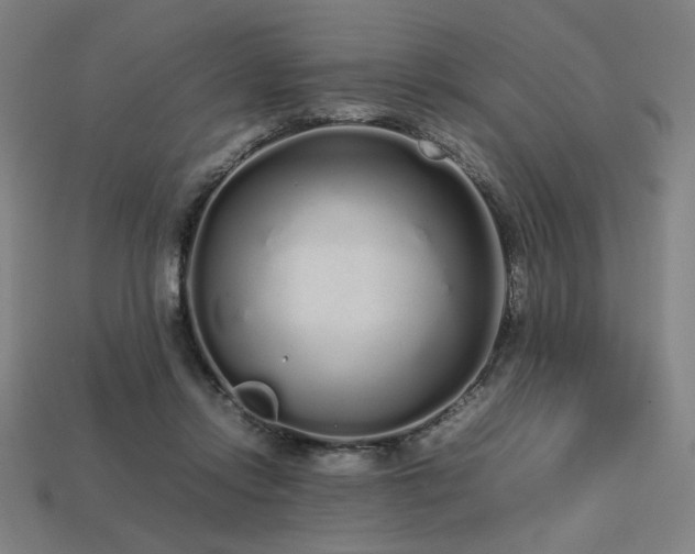 X0000113760358200909231210