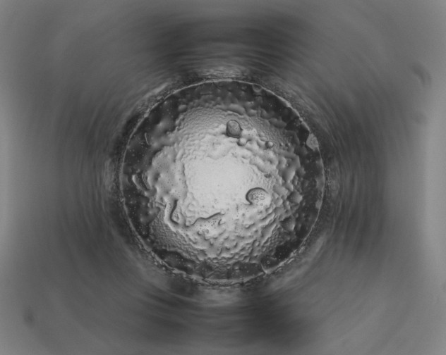 X0000113760359200909231210