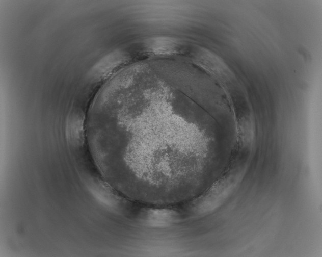 X0000113760360200909231210