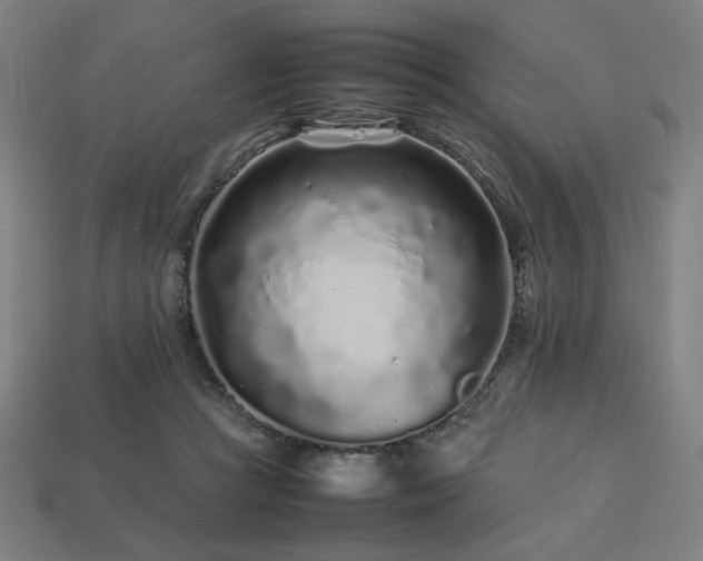 X0000113760361200909231210