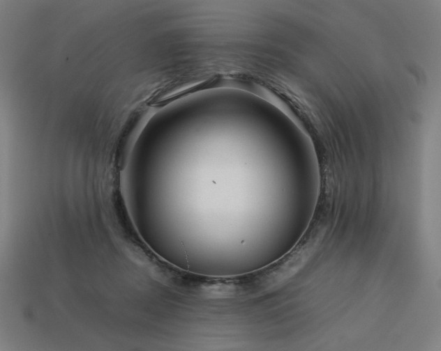 X0000113760362200909231210