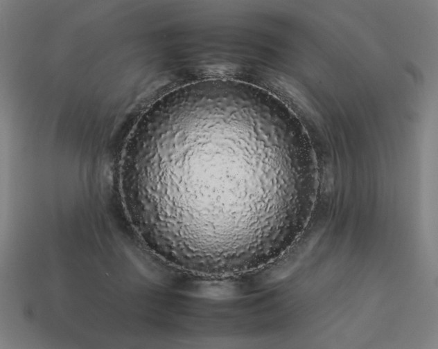 X0000113760363200909231210