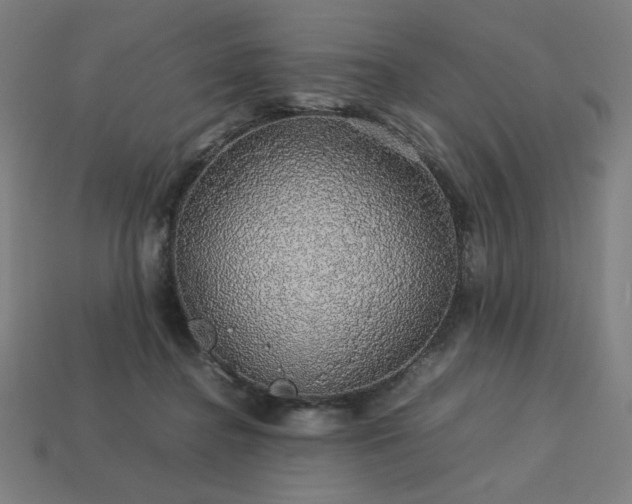 X0000113760364200909231210