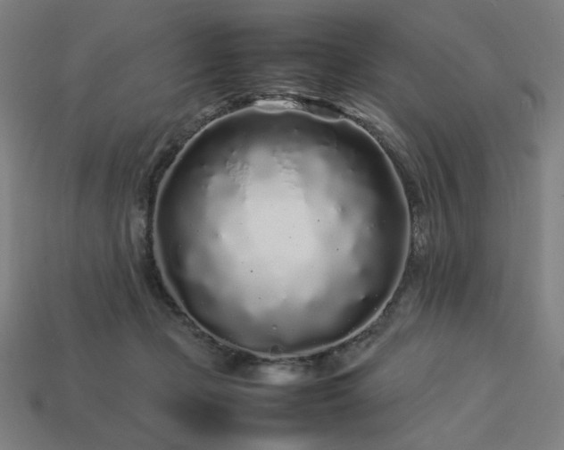 X0000113760365200909231210
