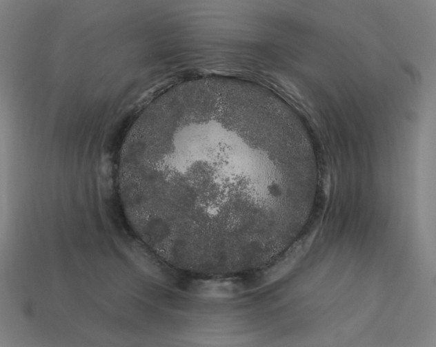 X0000113760366200909231210