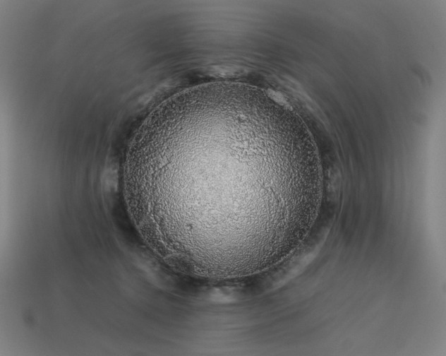 X0000113760368200909231210