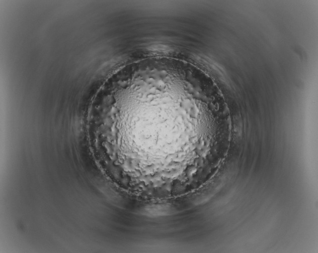 X0000113760369200909231210